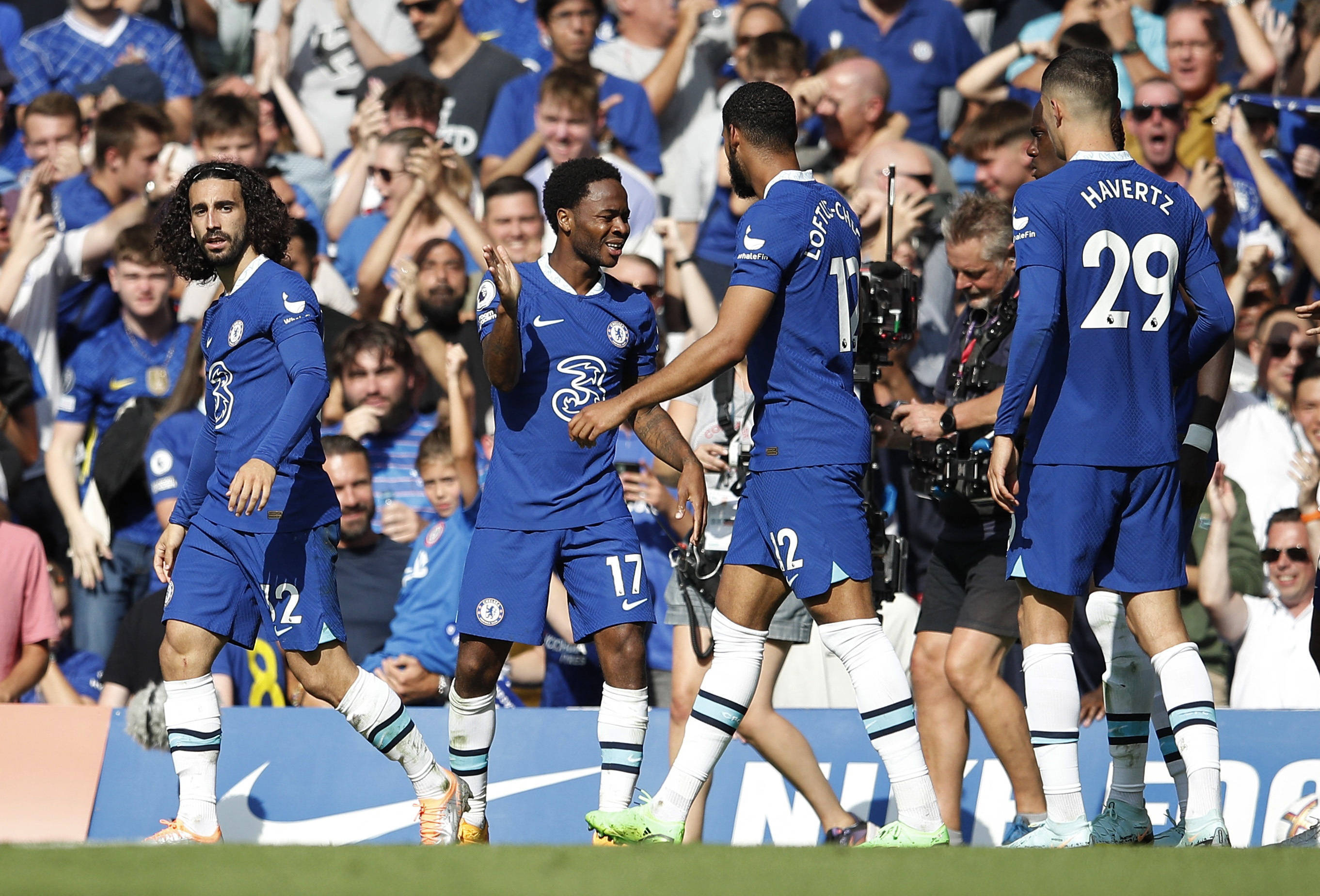 登陆平台 登陆平台